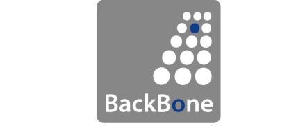 Logo of BackBone Aviation