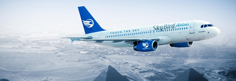 Egypt's SkyBird Airlines secures first aircraft, an A320