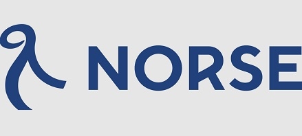 Logo of Norse Atlantic Airways